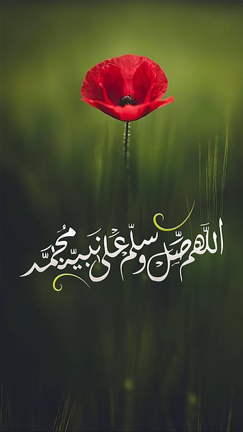 Allah, art, petal HD phone wallpaper