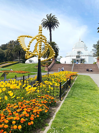 Golden Gate Park, Conservatory of flowers, Passion and a passport, San Francisco HD phone wallpaper