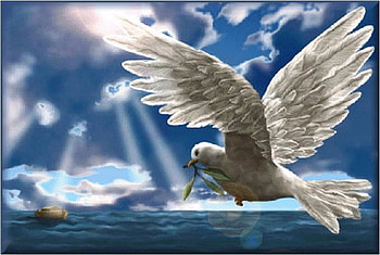 After the deluge * For misty7j3 (Judy), sea, dove, bird, art, bible, promise, painting, deluge, alliance HD wallpaper