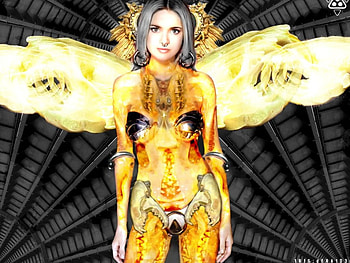 Deraider, wings, winged, woman, future, female HD wallpaper