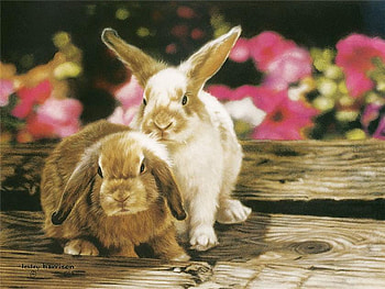 By Leslie Harrison, animal, bunny, leslie harrison, art, drawing HD wallpaper