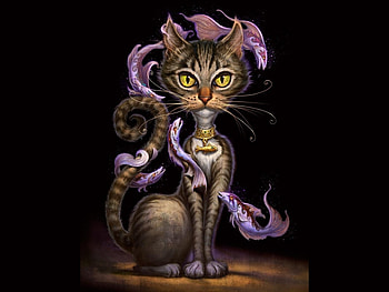 Cats HD wallpaper