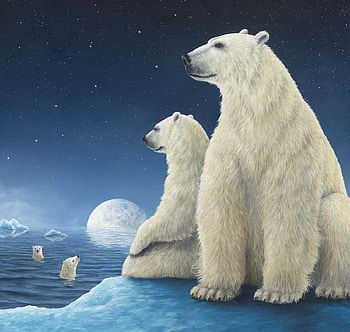 Ursa Major, night, blue, white, polar bear, urs, art, robert bissell, painting, fantasy, moon, pictura, luna, water HD wallpaper