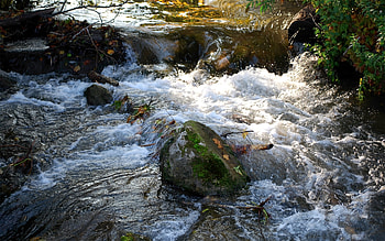 Stream, landscape, beautiful, nature, amazing, water HD wallpaper