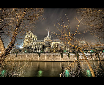 Notre-Dame, river, notre dame, church, reflection, trees, amazing, water, places, architecture, paris, landscape, popular, monuments, r, france, french, old, religious, clouds, sky HD wallpaper