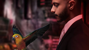 Goodbye My Bird, artist, artwork, digital-art HD wallpaper