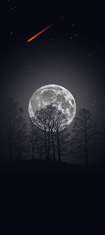Full moon, atmosphere, sky, new, night, dark, tree, hq, best, quality HD phone wallpaper