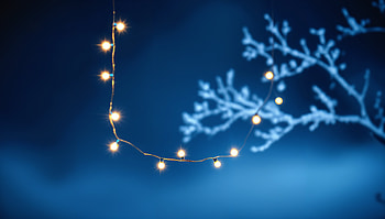 Enchanting Winter Nights: Ultra, christmas ornaments, winter, blue, branch HD wallpaper