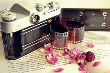 Flowers, Miscellanea, Miscellaneous, Petals, Dry, Book, Camera, Camera Roll, Film HD wallpaper