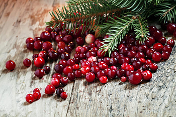 Healthy holiday choice, Expert opinion, Nutritional benefits, Festive season HD wallpaper
