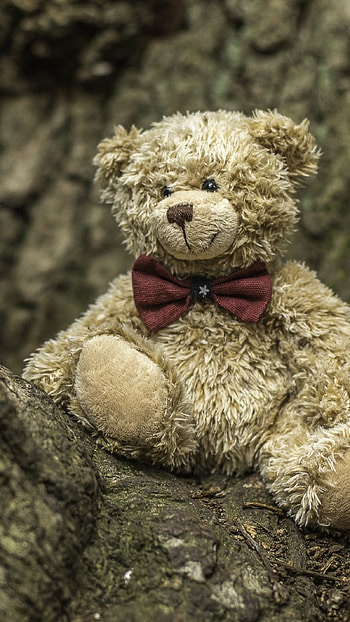 Teddy Bear, Strange Teddy Bear HD phone wallpaper