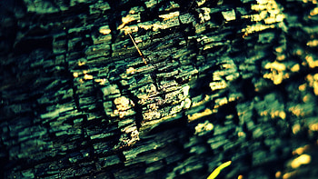 Dark, Shine, Light, Texture, Textures, Surface, Material HD wallpaper
