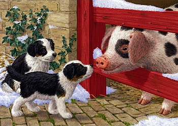 hello pig..., farm, dogs, pigs, animals HD wallpaper
