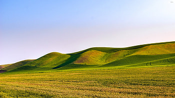 Rolling beauty, Nature's canvas, Sweeping vistas, Serenity personified HD wallpaper
