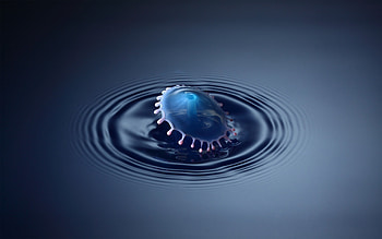 Background, Drops HD wallpaper