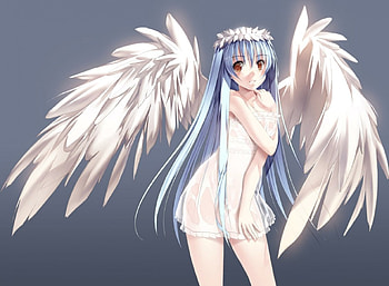 Angel, plain, sexy, wings, hot, cute, blue hair, girl, long hair, anime girl, simple, feather, wet, anime, wing, female HD wallpaper