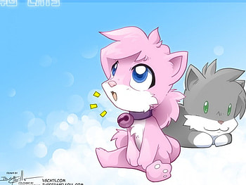 Meow, cute, anime, kittens HD wallpaper