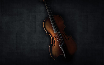 Violin darkness , Musical instruments, Vintage violin, Dark aesthetic HD wallpaper