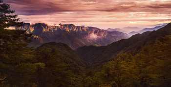 Nature, Mountains, Clouds, Spruce, Fir HD wallpaper