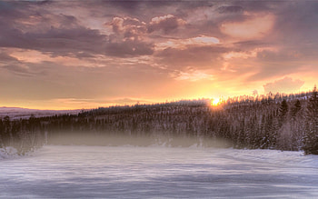 Nature, Rivers, Trees, Ice, Snow HD wallpaper