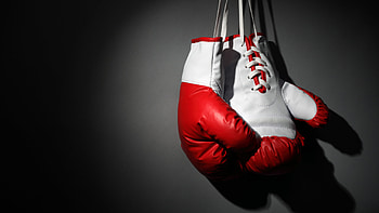 Boxing, Martial Art, Hang , Gray Background HD wallpaper