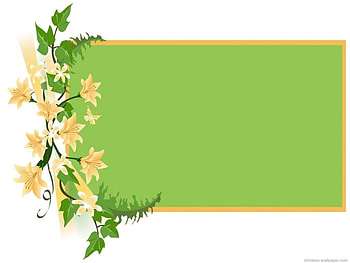 Yellow lilies, flowers, lilies HD wallpaper