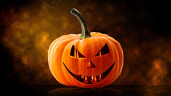 Halloween, pumpkin, kitten, carving HD wallpaper