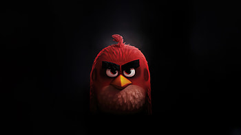 Angry Birds Dark , angry-birds, cartoons, dark, black, oled, artist, artwork, digital-art HD wallpaper