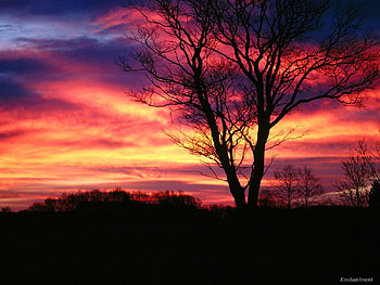 Obloha, colors, hill, tree, sunset HD wallpaper