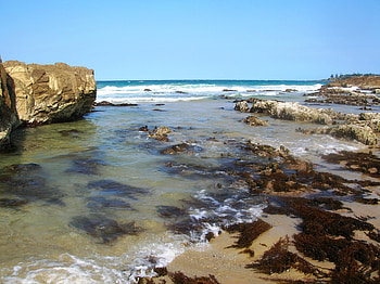 Sea Journey, sea, sand, foam, rocks, beauty, beach, surf, waves, seaweed, kelp, water, ocean HD wallpaper