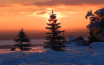 Winter Sunset, firs, snow, landscape, clouds, colors, sky HD wallpaper
