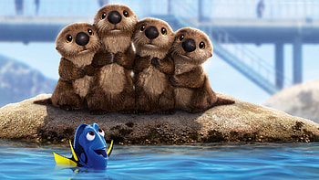 Finding Dory Animated Movie 2016, finding-dory, movies, animated-movies, 2016-movies HD wallpaper