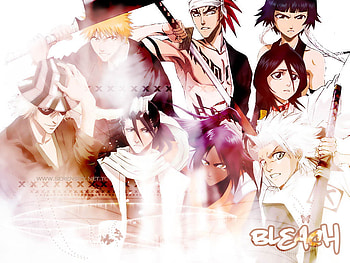 bleach, ichigo, kuichiki, soifon, kisuke, renji, rukia, yoruichi, hitsugaya HD wallpaper