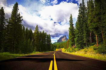 Beautiful Roadside, roadside, beautiful HD wallpaper