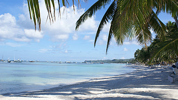 Landscape, Beach, Palms HD wallpaper