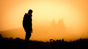Nature, Sunset, Silhouette, Fog HD wallpaper