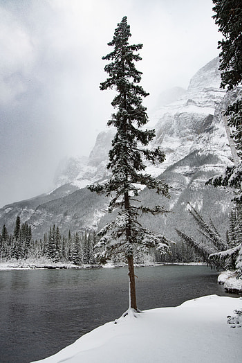 Landscape, Nature, Rivers, Trees, Snow, Mountain HD phone wallpaper