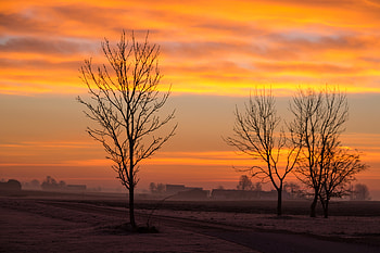 Landscape, Nature, Trees, Clouds, Dawn, Fog HD wallpaper