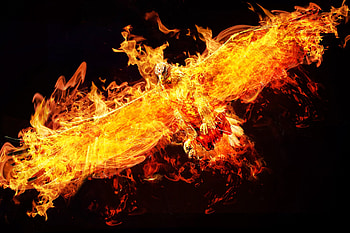 Fire, Miscellanea, Miscellaneous, Flight, Eagle, hop HD wallpaper