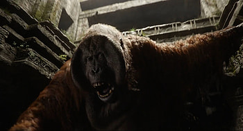 The Jungle Book (Movie), HQ movie , Stunning , Captivating visuals HD wallpaper