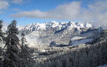 Mountain, Tree, Mountains, Snow HD wallpaper