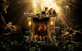 Lions Jungle, lions, jungle, creative, graphics HD wallpaper