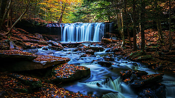 A Waterfall In Northern Pennsylvania, leaves, fall, trees, autumn, colors, rocks, forest, usa HD wallpaper