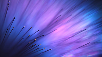 Abstract, Violet, Flower, Macro, Purple, Aurora HD wallpaper