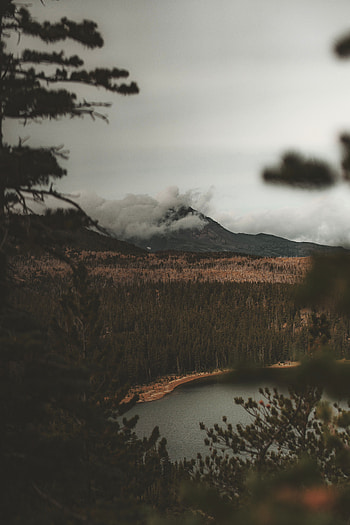 Nature, Clouds, View From Above, Mountain, Lake, Fog, Branches HD phone wallpaper