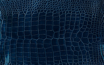 Leather screen by Herms, Casual yet opulent, High-quality craftsmanship, Modern luxury HD wallpaper