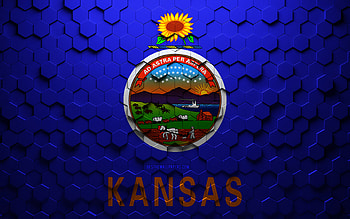 Flag of Kansas, honeycomb art, Kansas hexagons flag, Kansas, 3d hexagons art, Kansas flag HD wallpaper