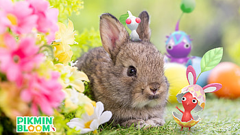 Pikmin Bloom : Adorable Bunny Adventure in Blooming Gardens, Pikmin HD wallpaper