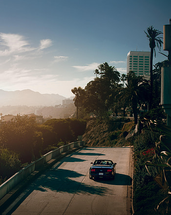 Palms, Cars, Road, Car, Cabriolet HD phone wallpaper