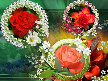 THREE FRAMED ROSES, ROSES, THREE, FRAMED HD wallpaper